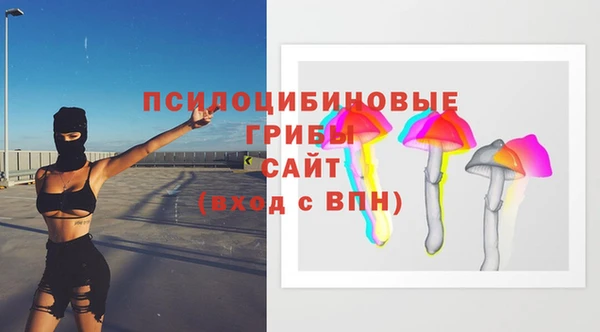 ECSTASY Армянск